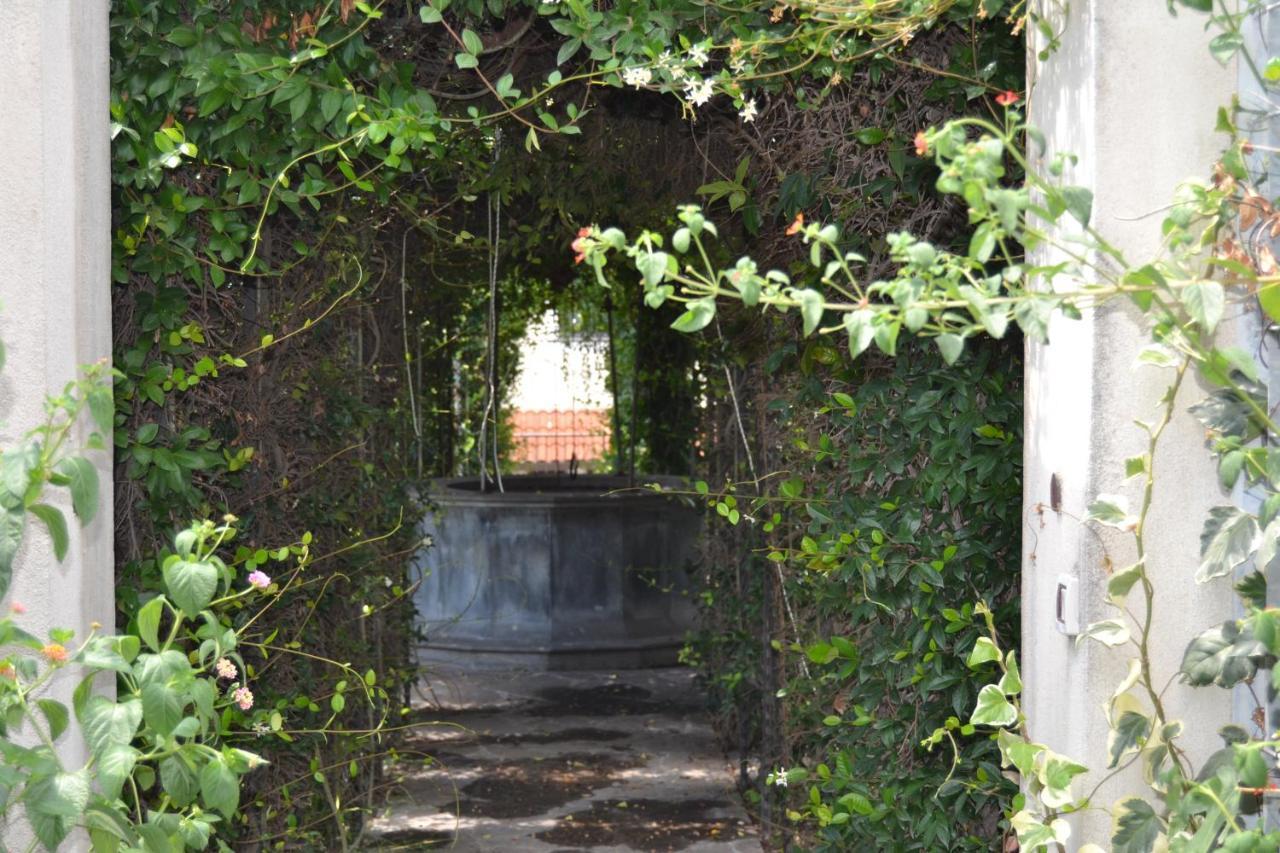 I Giardini Del Vesuvio Villa Somma Vesuviana Kültér fotó